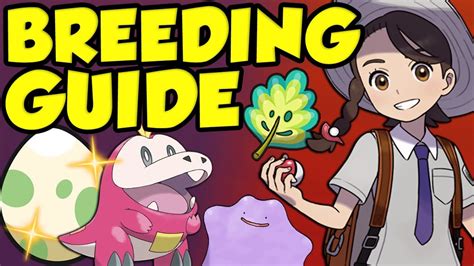 pokemon scarlet and violet breeding guide